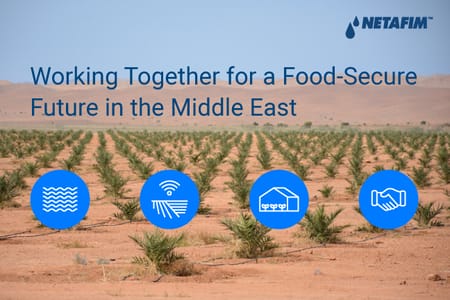 Precision agriculture for a sustainable regional future