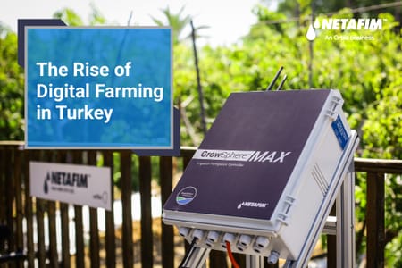 Harvesting Progress: Technology Revives Farming in Turkey