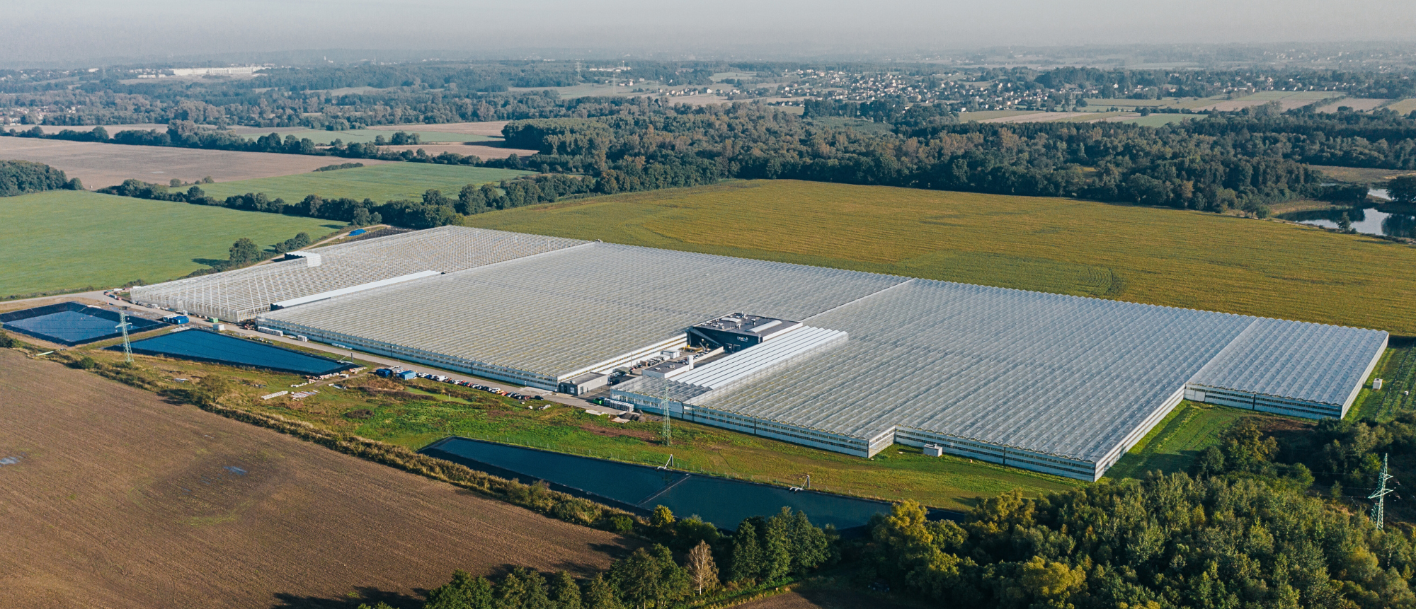 Commercial greenhouse Farma Bezdínek