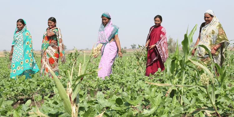 Changing the Socio- economic landscape for rural communities with precision irrigation