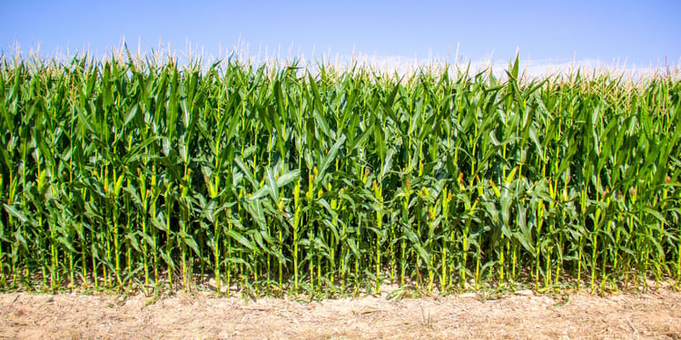 Make Your Farming Operation More Profitable than ever for years to come!