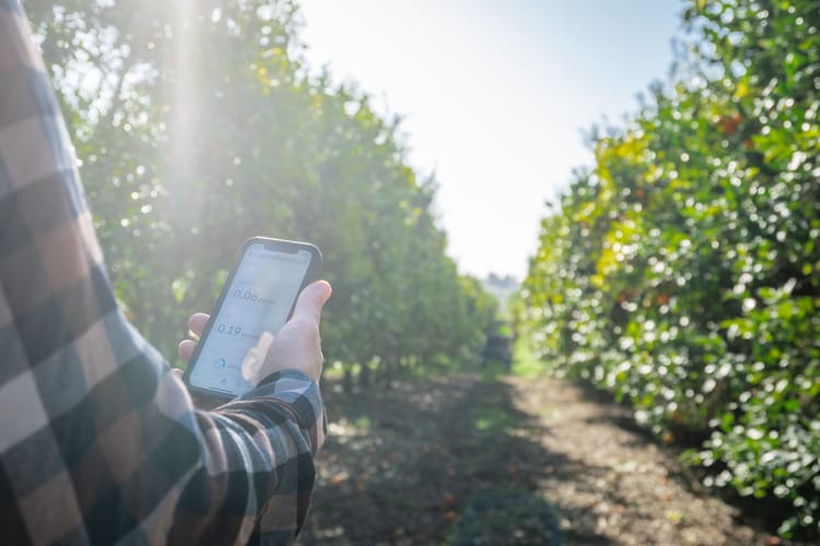 man holding phone in orchard