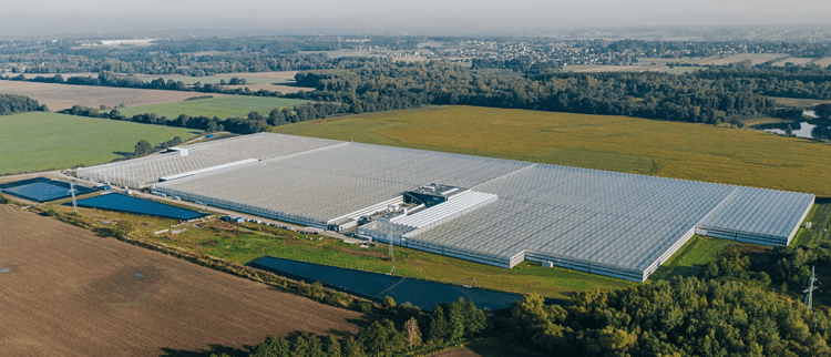 Commercial greenhouse Farma Bezdínek