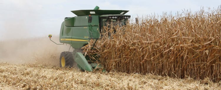 Sub surface Drip Irrigation 