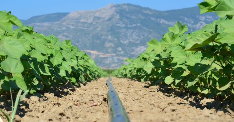 Fulfilling Regenerative Agriculture Through Precision Irrigation 