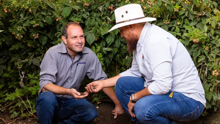 Agronomy: Knowledge that Drives Results