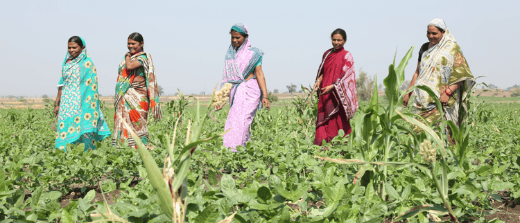 Changing the Socio- economic landscape for rural communities with precision irrigation