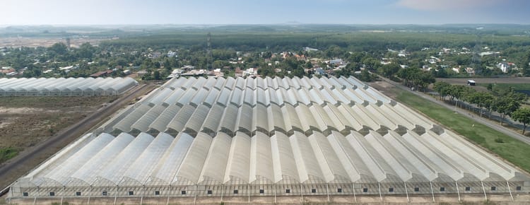 Commercial greenhouse 