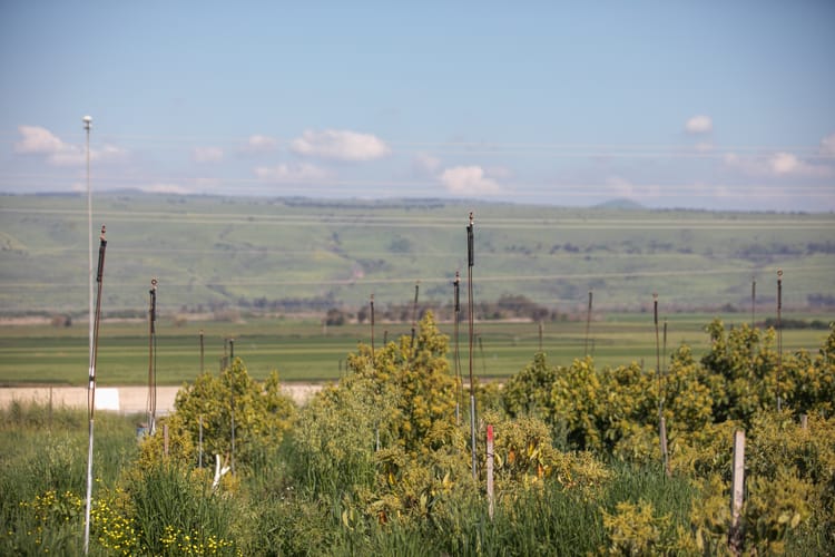 Pulsar™ with GyroNet™