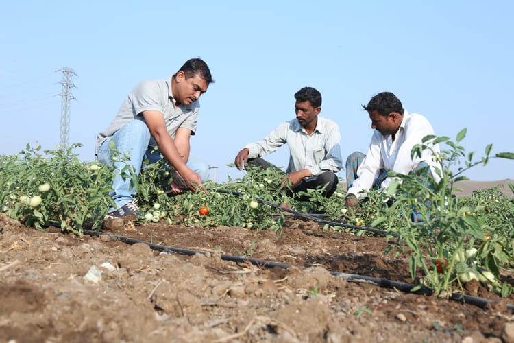 smart irrigation in Ramthal