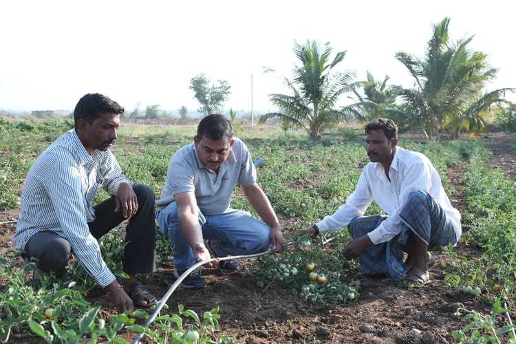 India Ramthal, farmers at work, stills footage 07