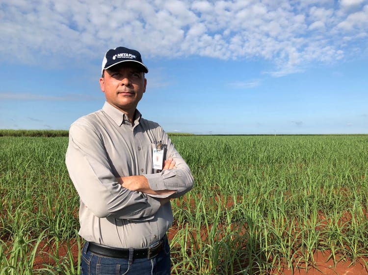 Netafim employee in Sugarcane field in Brazil