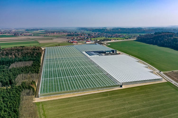 birdseye view of Reichenspurner greenhouse