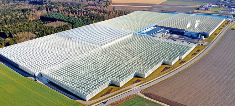 Greenhouse of the Reichenspurner Family