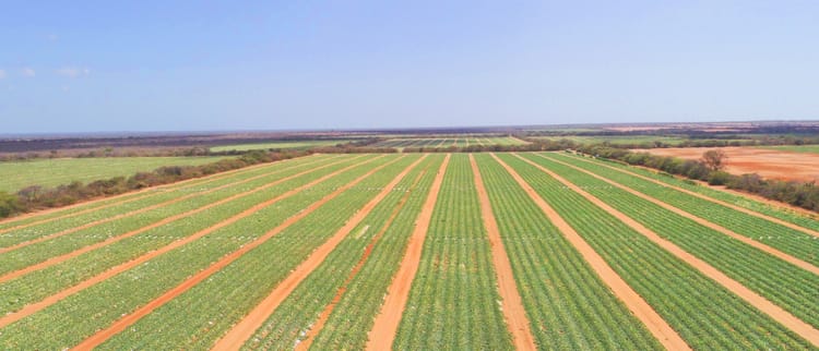 Ensuring a food secure future with precision irrigation systems