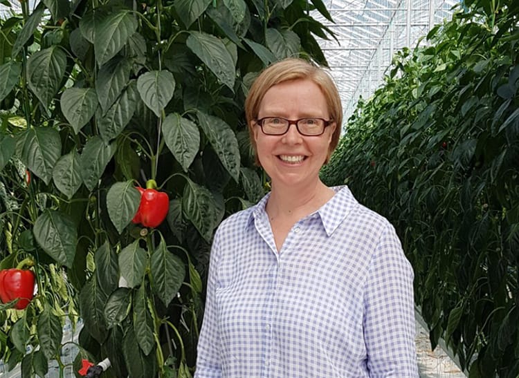 Vermillion's Maria Deschauer