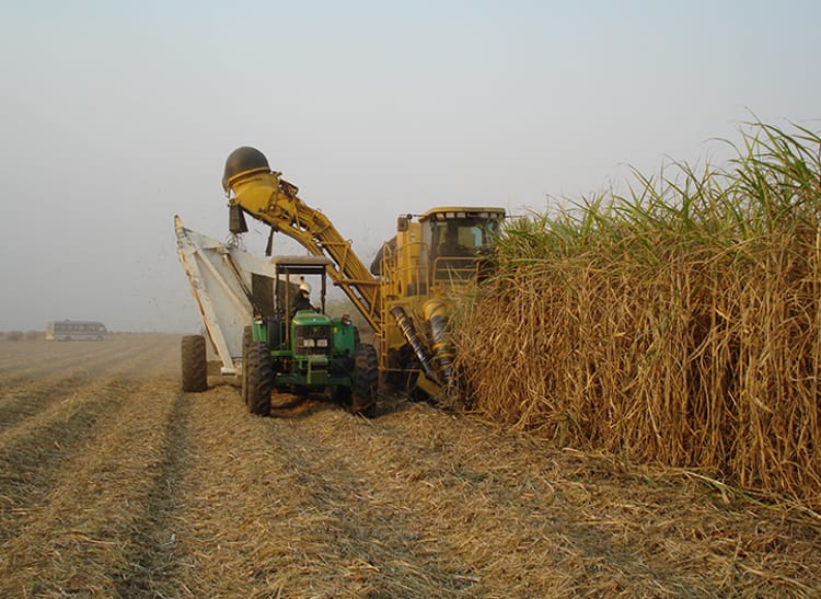 tractor in sugarcane field in Swaziland