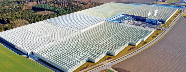 Commercial greenhouse