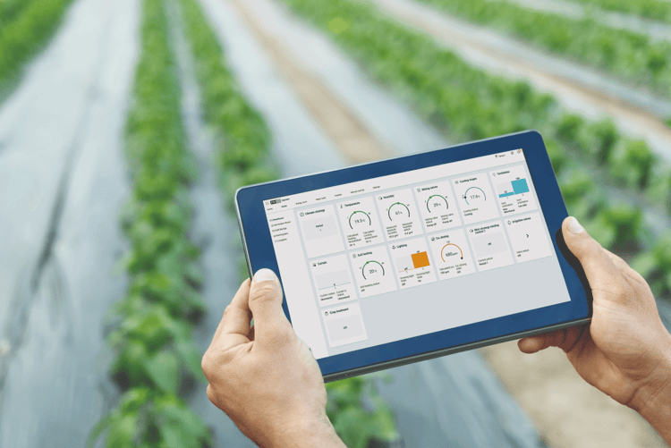 Priva horticulture and Gakon Netafim