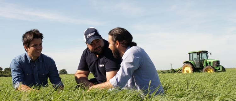 Annual Service Program