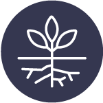 Healthier root environment