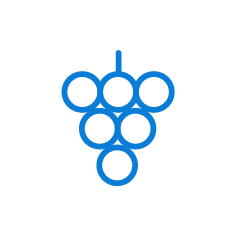 Drip Irrigation and Fertigation Protocol for Table Grapes
