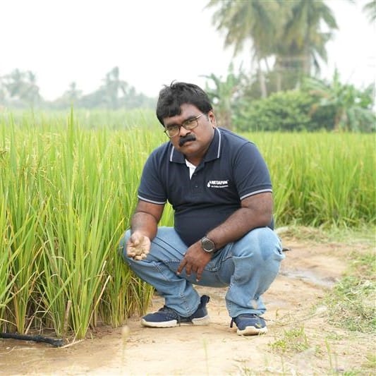 Sabarinathan R., Global Rice Agronomist